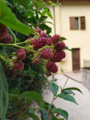 Home Easy Home, Spoleto